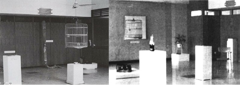 Towards a Mystical Reality: A Documentation of Jointly Initiated Experiences (1974)