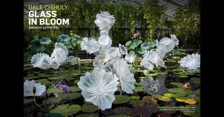 Dale Chihuly, Glass in Bloom SG