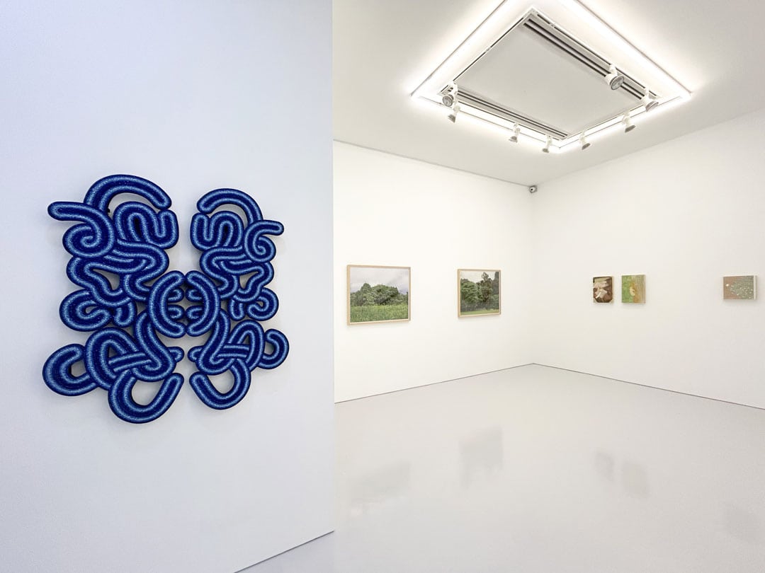 Installation view of Diverse Visions at Richard Koh Fine Art in Singapore, with Xun's You’re Projecting Again on the left.
