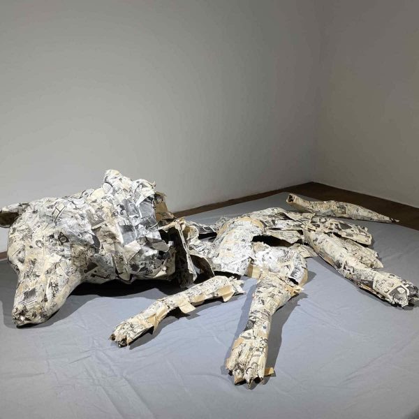 Japanese Wolf, 2018, Papier-mache’ sculpture by Ruangsak Anuwatwimon