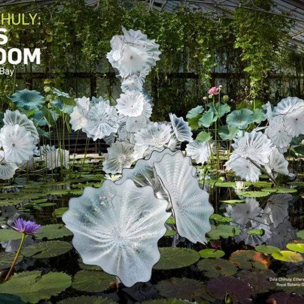 Dale Chihuly, Glass in Bloom SG